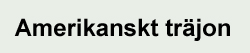 Ormbunkar - Amerikanskt Träjon Ormbunkar - Amerikanskt Träjon