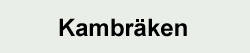 Ormbunkar - Kambräken Ormbunkar - Kambräken