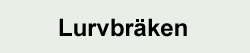 Ormbunkar - Lurvbräken Ormbunkar - Lurvbräken