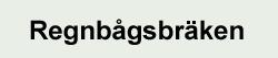 Ormbunkar - Regnbågsbräken Ormbunkar - Regnbågsbräken