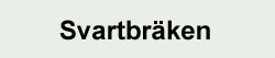 Ormbunkar - Svartbräken Ormbunkar - Svartbräken